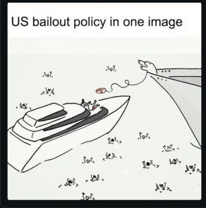 f79q0hb5lgqe1.jpeg