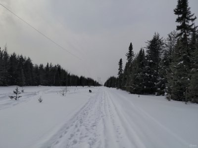 image(4).jpg