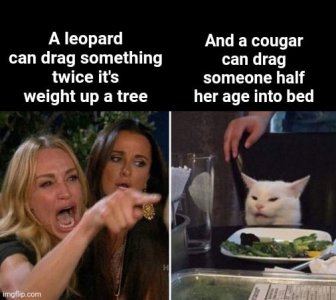 cougar.jpg