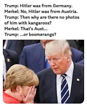 whjrpzggehqe1.jpeg