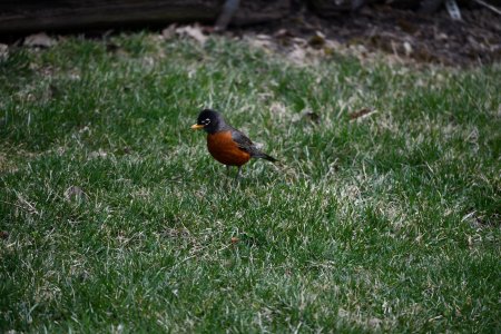DSC_0220.jpg