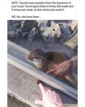 otter 2.jpg