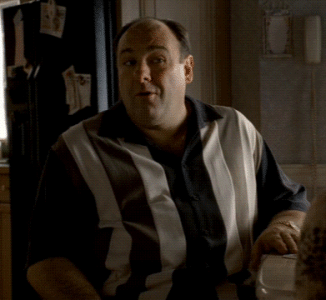what-sopranos.gif