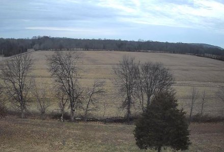 Field_1.jpg