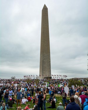DSC_1982.jpg