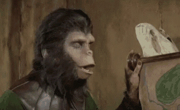 planet-of-the-apes-eye-roll.gif