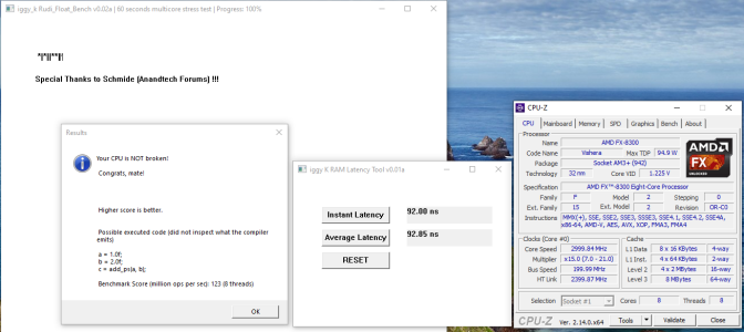 8300 3,0ghz.png