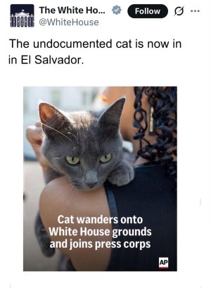 ytyyurprgpve1.jpeg
