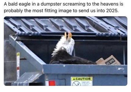 g1dhpu29dxve1.jpeg
