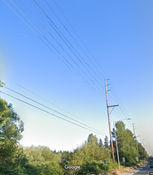 1745253159511.png