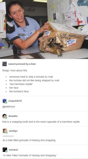 1000041118.jpg