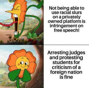 hubz4qqbqdxe1.jpeg