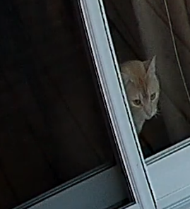 Screenshot from 2025-05-11 20-20-51.png