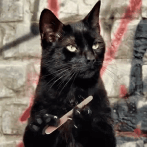 1747330760234.gif