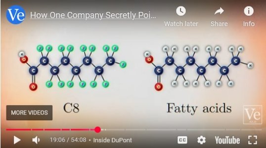 fatty_acid.jpg