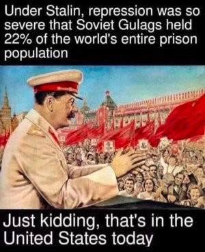 ylhuvxzj6u0f1.jpeg