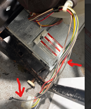 the motor end of the cord.png