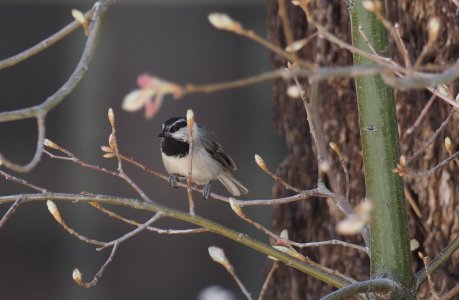 P5250029~2.JPG