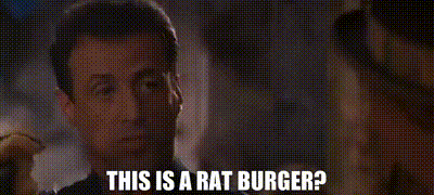 1748442257696.gif
