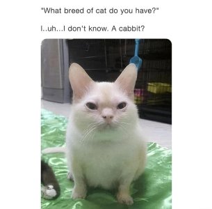 1000046949.jpg