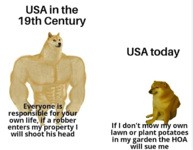 1749002802011.png