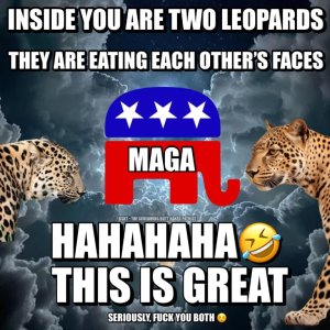 LeopardsAteMyFace-1l4ibi9 (Medium).jpg