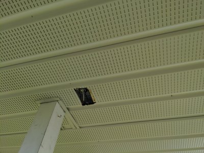 IMG_20250608_175838.jpg