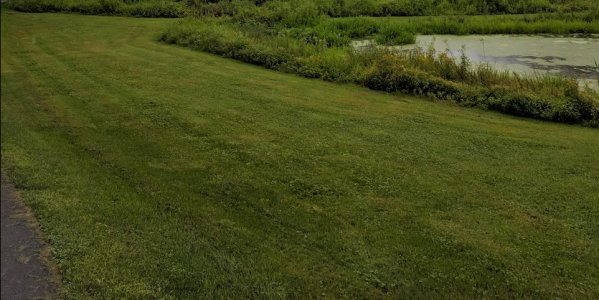 1749423831267.png 1749423831267.png