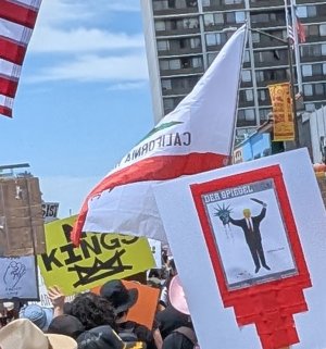 signs 4.jpg