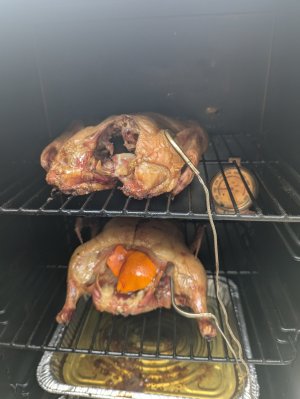 PXL_20250615_201810393.jpg