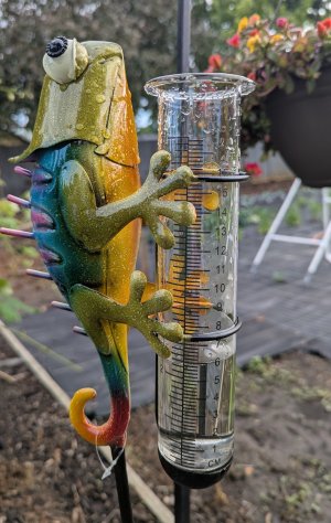 rain gauge.jpg