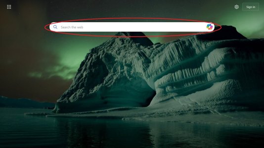 search bar.jpg