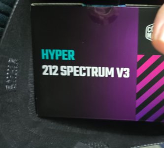 WhatsApp Image 2025-06-22 at 17.25.19.jpeg