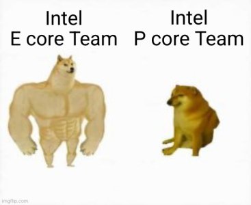 9yu4qv.jpg