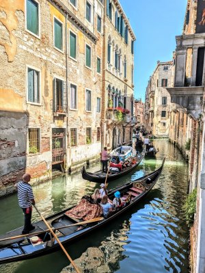 PXL_20250619_131318578-EDIT (Medium) - Copy.jpg