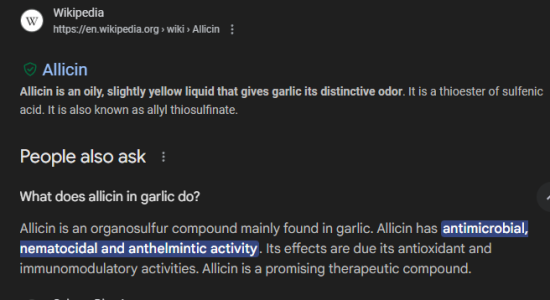 2025-07-01 17_56_35-allicin garlic - Google Search.png