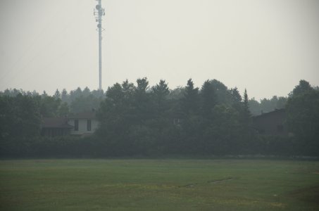 DSC_7156.jpg