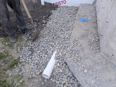 PXL_20250713_210503209.jpg