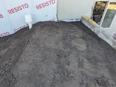 PXL_20250713_224051035.jpg