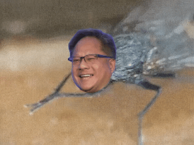 Huang Fly.gif