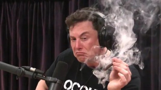 103330503_musk3.jpg
