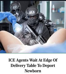 1753564077573.png 1753564077573.png