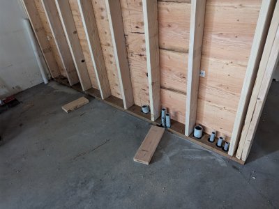 PXL_20250726_155825004.jpg