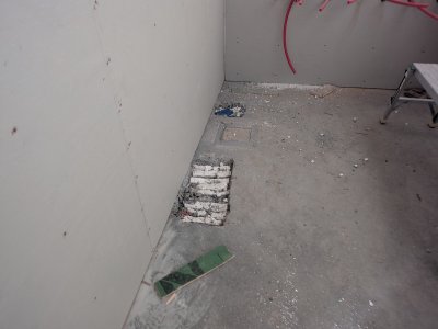 PXL_20250726_155834107.jpg