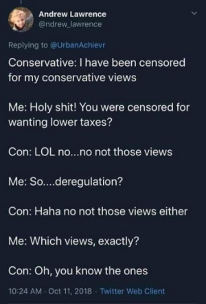 CensoredForMyConservativeViews.png