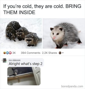 1753775803089.png
