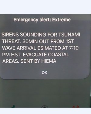 tsunami alert.jpg