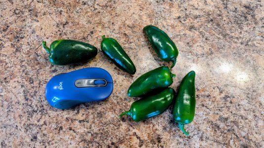 megatron jalapeno.jpg