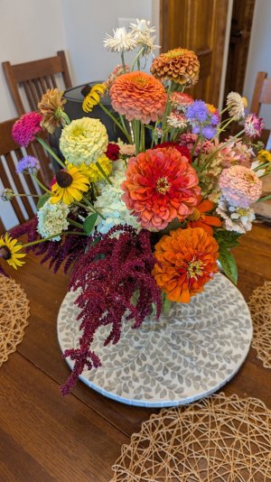 fresh cut flowers.jpg