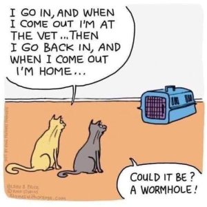 Cats_Wormhole.jpg